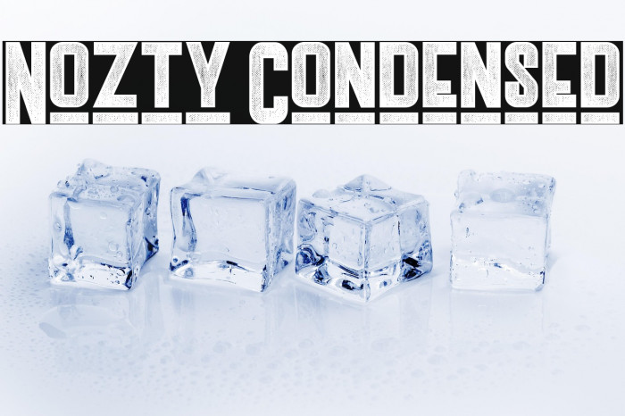 Nozty Condensed Example 3