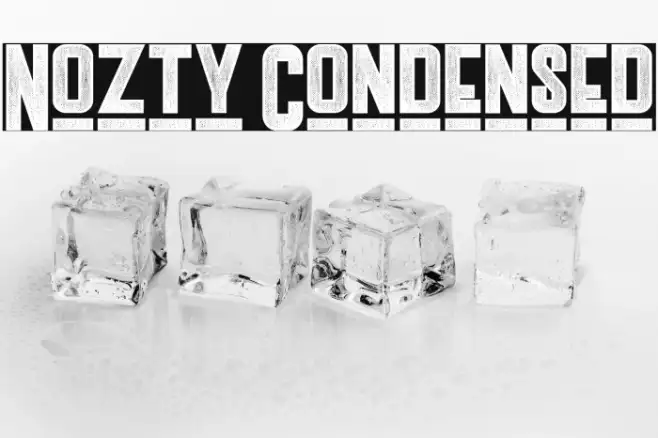 Nozty Condensed Example 3