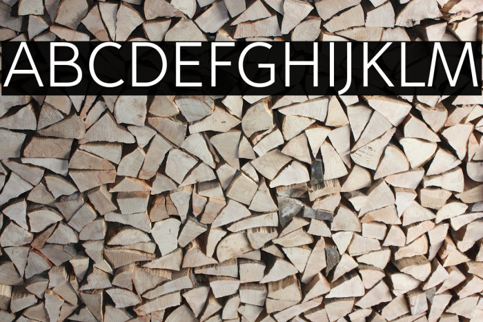 no_name_37_Light Font examples