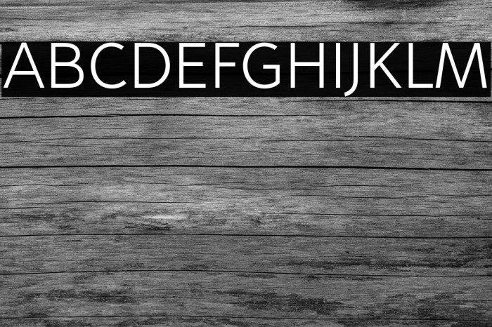 no_name_37_Light Font examples