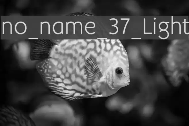 no_name_37_Light Font examples