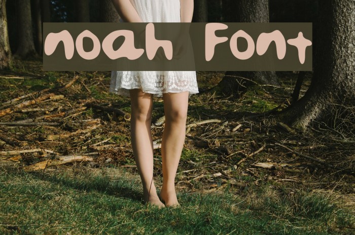 noah Font examples
