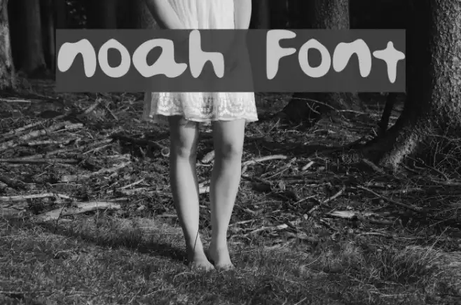 noah Example 2