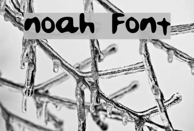 noah Example 3