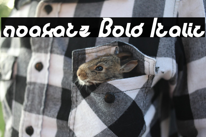 noakatz Bold Italic Example 2