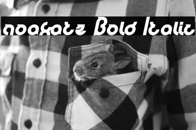noakatz Bold Italic Font examples
