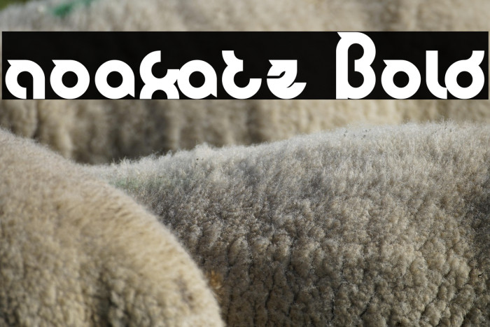 noakatz Bold Example 1