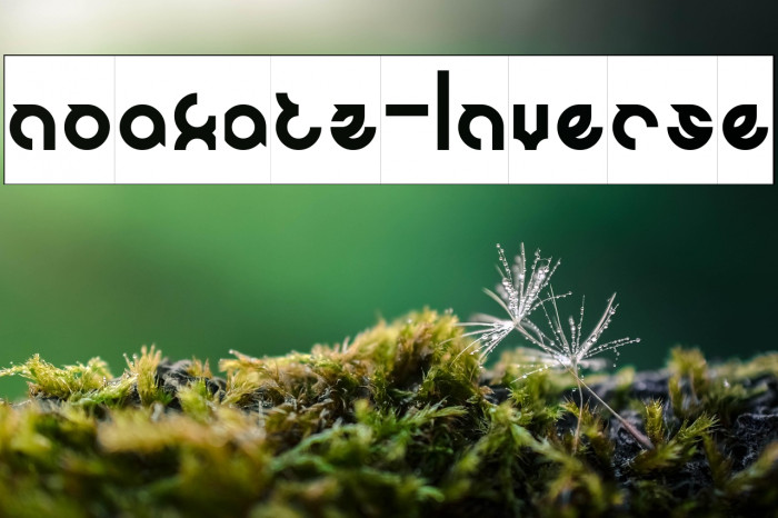 noakatz-Inverse Example 1