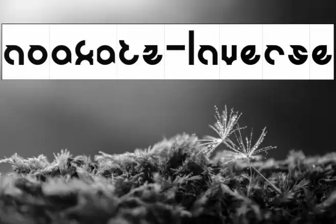 noakatz-Inverse Font examples