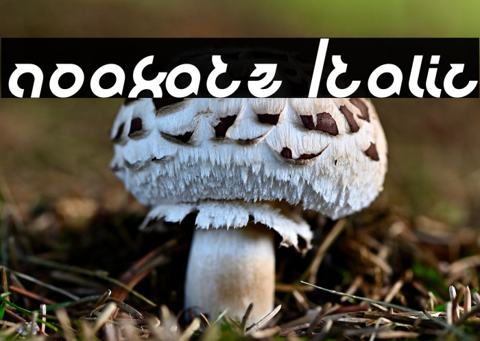 noakatz Italic Example 1