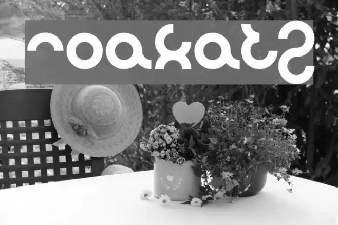 noakatz Font examples