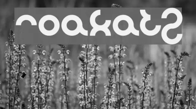 noakatz Font examples