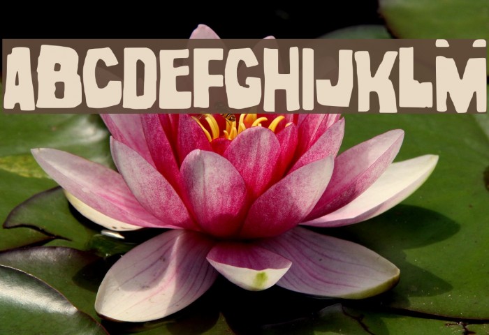 noel gallagher Example 1