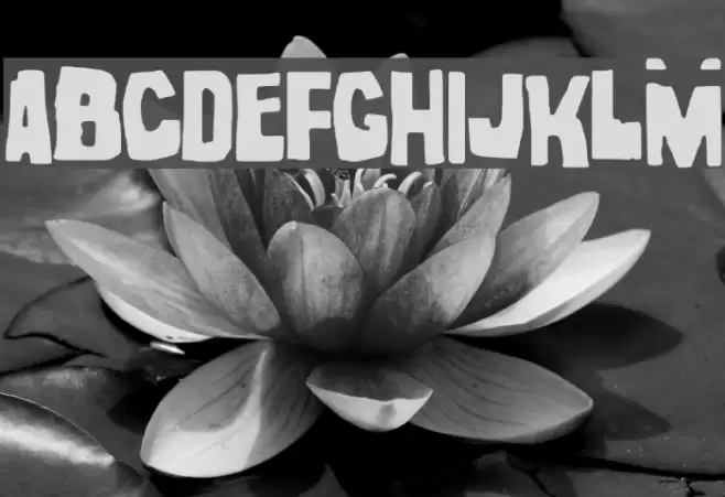 noel gallagher Font examples