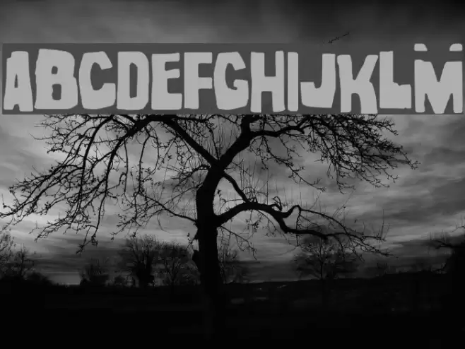 noel gallagher Font examples