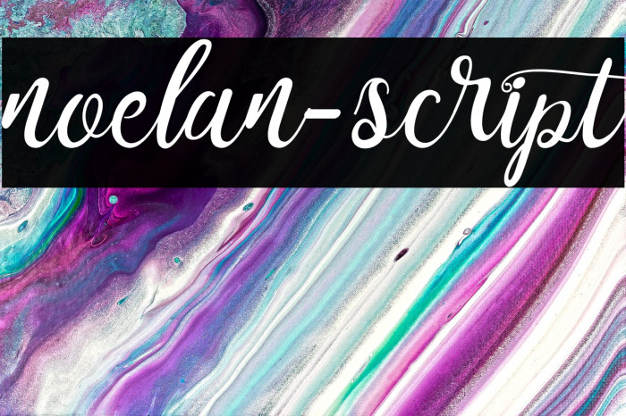 noelan-script Font examples