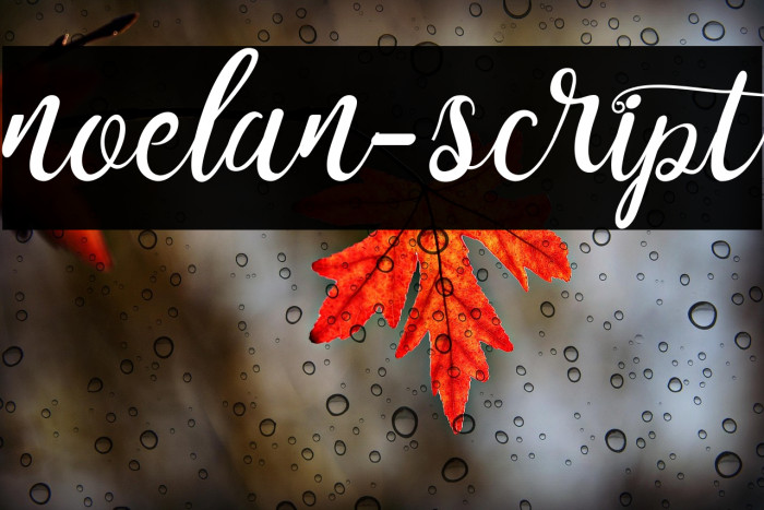 noelan-script Font examples