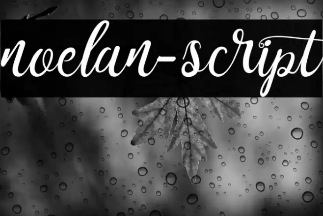 noelan-script फ़ॉन्ट examples