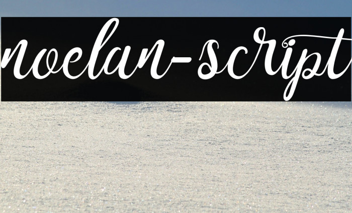 noelan-script Font examples