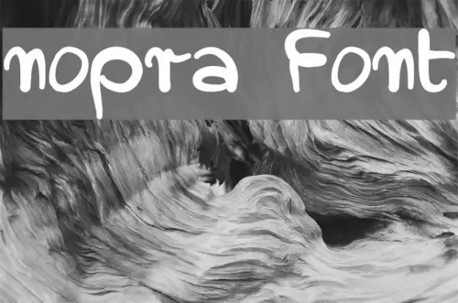 nopra Example 1