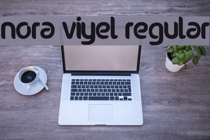 nora viyel Regular Font examples