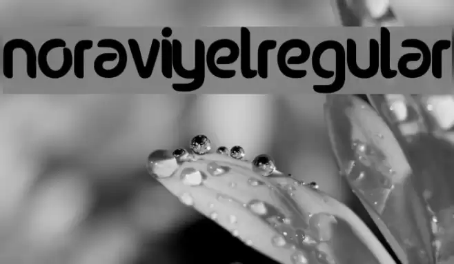 noraviyel-Regular Font examples