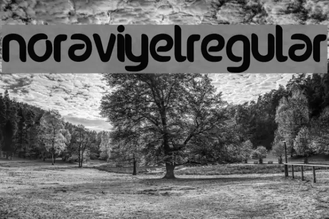 noraviyel-Regular Font examples