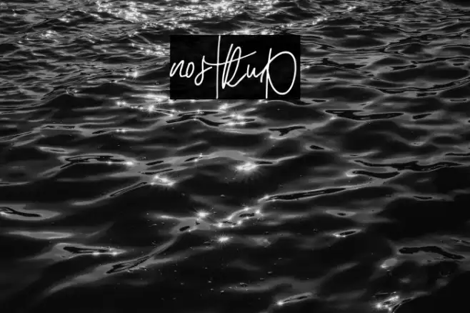 nostrud Example 1