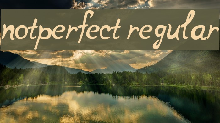 notperfect regular Font examples