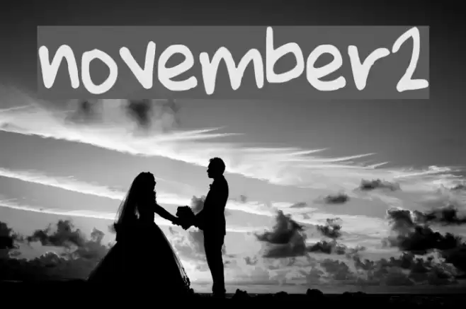 november2 Font examples