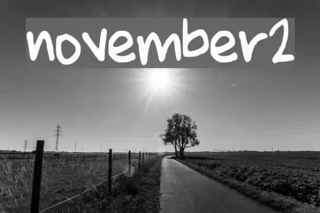 november2 Font examples