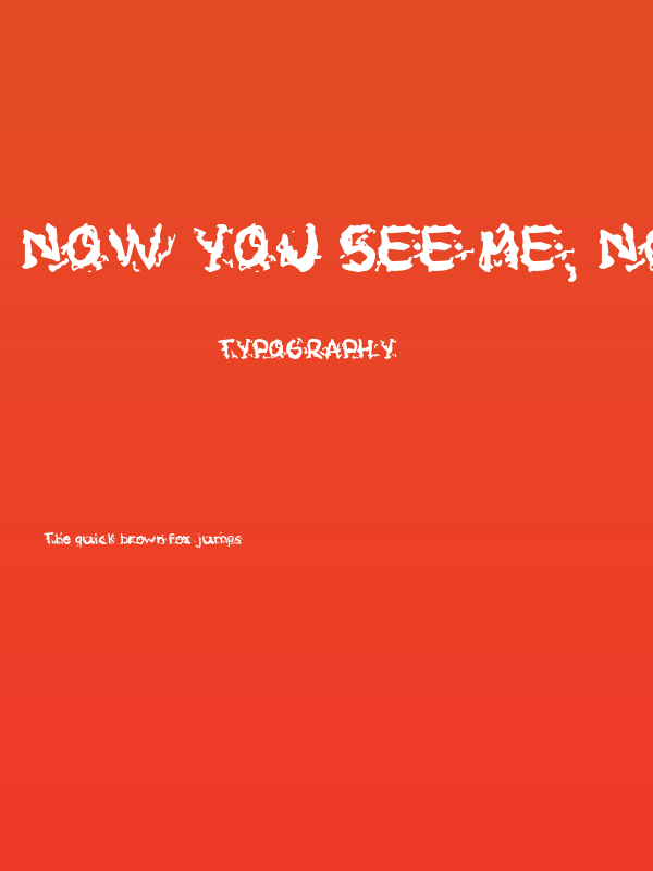 now you see me, now you dont Poster