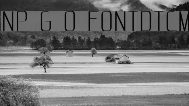 NP Grand Opening F0NTDoTCoM Font examples