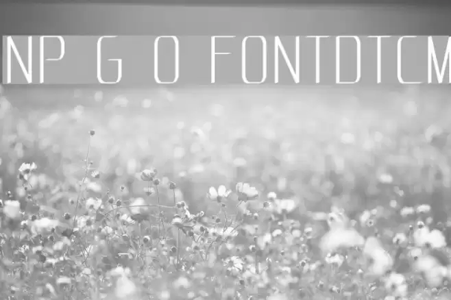 NP Grand Opening F0NTDoTCoM Font examples