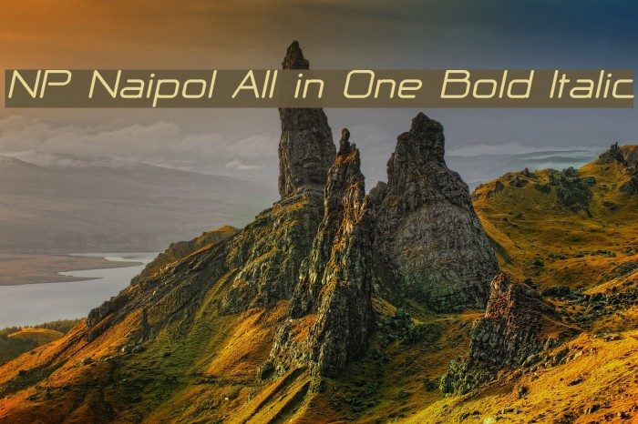 NP Naipol All in One Bold Italic Caratteri examples