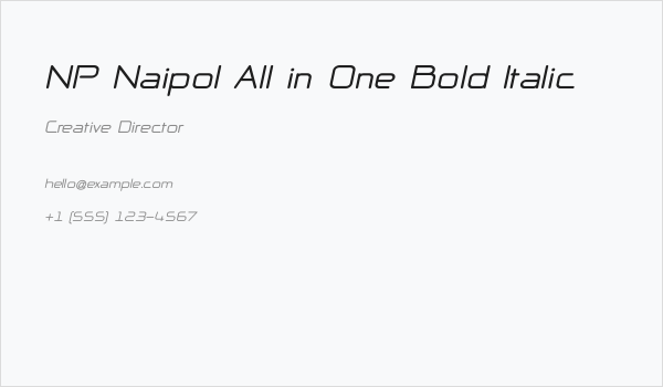 NP Naipol All in One Bold Italic Business Card