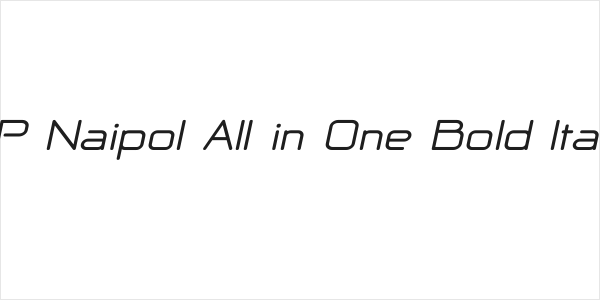 NP Naipol All in One Bold Italic Logo