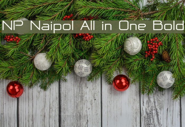 NP Naipol All in One Bold フォント examples