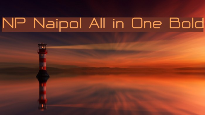 NP Naipol All in One Bold フォント examples