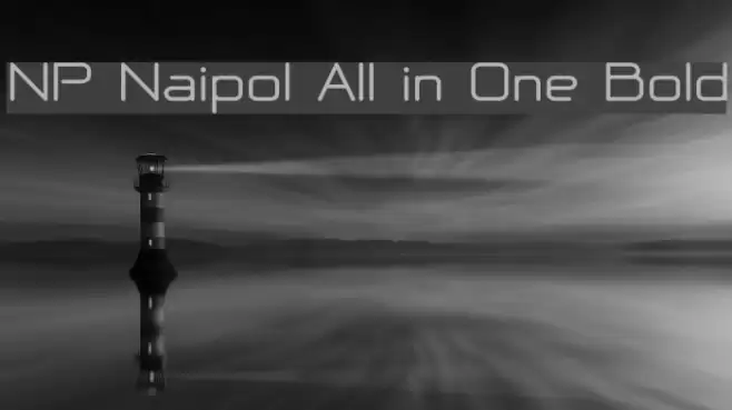 NP Naipol All in One Bold Font examples