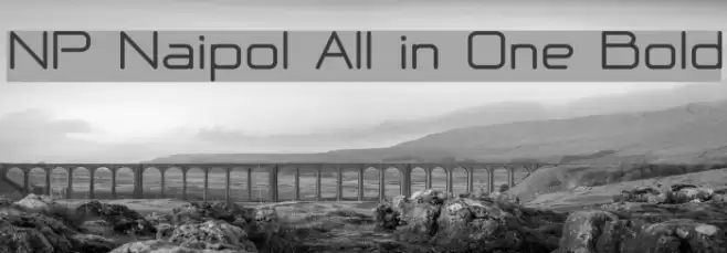 NP Naipol All in One Bold Font examples