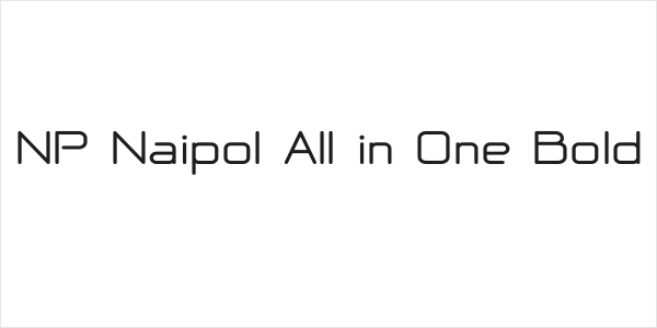 NP Naipol All in One Bold Logo