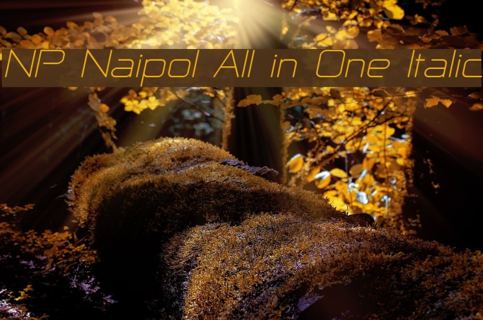 NP Naipol All in One Italic Font examples