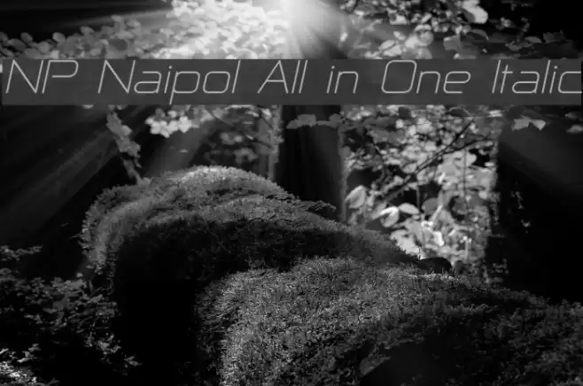 NP Naipol All in One Italic フォント examples
