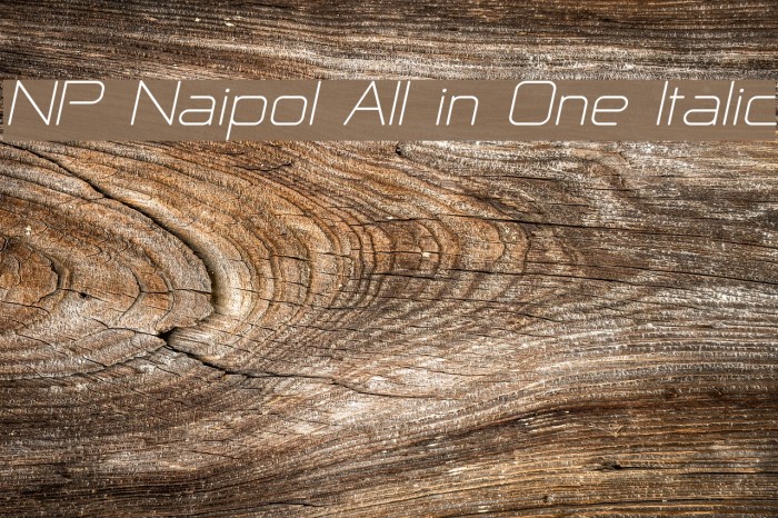 NP Naipol All in One Italic Font examples