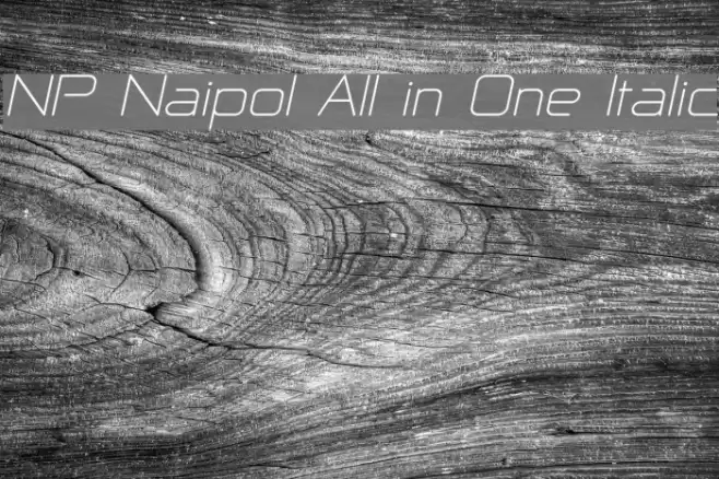 NP Naipol All in One Italic フォント examples