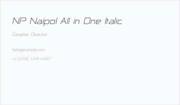 NP Naipol All in One Italic Business Card