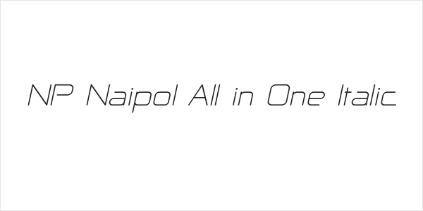 NP Naipol All in One Italic Logo