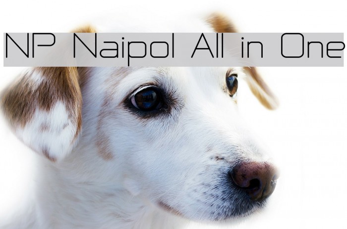 NP Naipol All in One Font examples