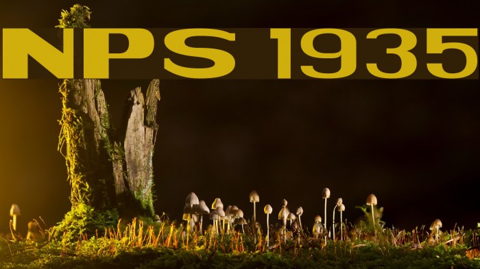 NPS 1935 Font examples
